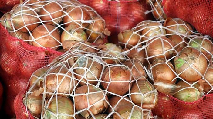 Bu yöntemler soğan doğrarken göz yaşarmasını engelliyor 6